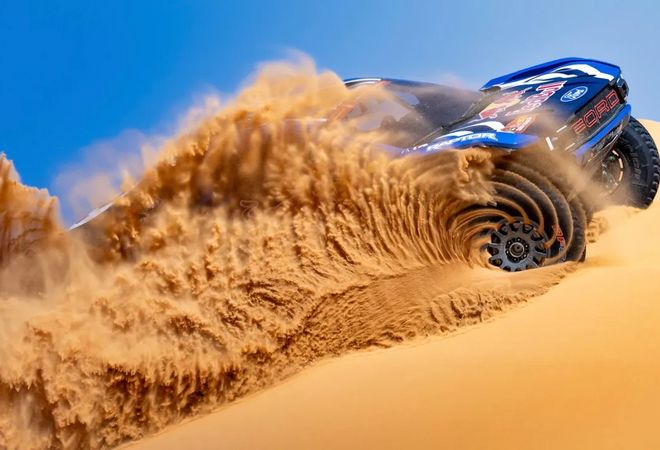 Raptor рисует на песке