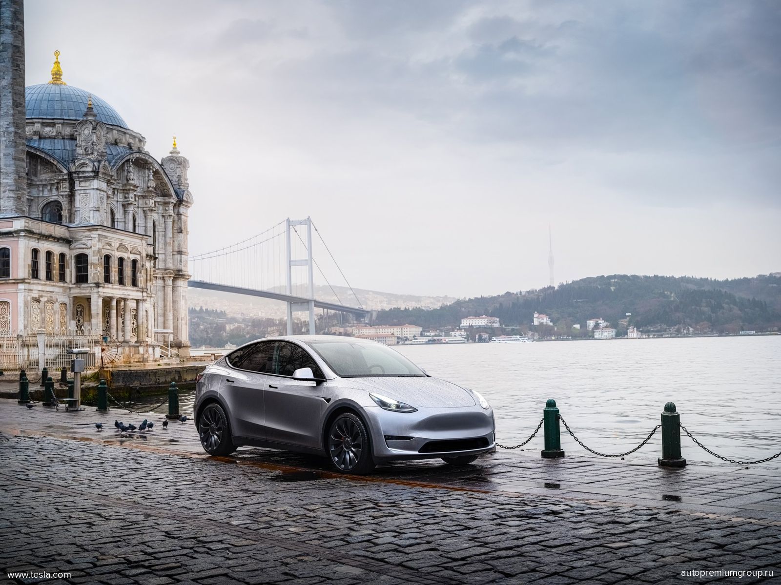 Model Y 2024